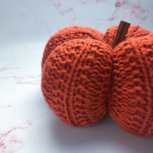 Load image into Gallery viewer, Pattern - The Thistled Pumpkin