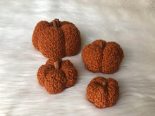 Load image into Gallery viewer, Pattern - The Textured Pumpkin