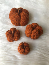 Load image into Gallery viewer, Pattern - The Textured Pumpkin