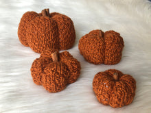 Load image into Gallery viewer, Pattern - The Textured Pumpkin