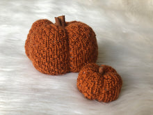 Load image into Gallery viewer, Pattern - The Textured Pumpkin