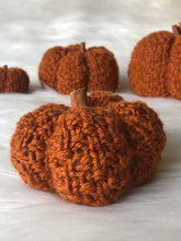 Load image into Gallery viewer, Pattern - The Textured Pumpkin