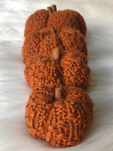 Load image into Gallery viewer, Pattern - The Textured Pumpkin