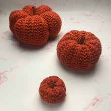 Load image into Gallery viewer, Pattern - The Thistled Pumpkin
