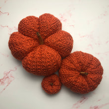 Load image into Gallery viewer, Pattern - The Thistled Pumpkin