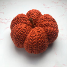 Load image into Gallery viewer, Pattern - The Thistled Pumpkin