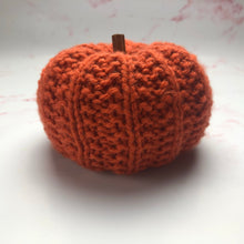 Load image into Gallery viewer, Pattern - The Thistled Pumpkin