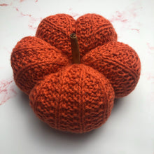 Load image into Gallery viewer, Pattern - The Thistled Pumpkin
