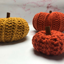 Load image into Gallery viewer, Pattern - The Briar Pumpkin