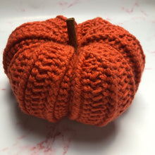 Load image into Gallery viewer, Pattern - The Briar Pumpkin