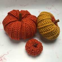 Load image into Gallery viewer, Pattern - The Briar Pumpkin