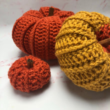 Load image into Gallery viewer, Pattern - The Briar Pumpkin