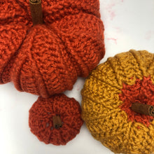 Load image into Gallery viewer, Pattern - The Briar Pumpkin