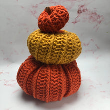 Load image into Gallery viewer, Pattern - The Briar Pumpkin