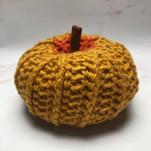 Load image into Gallery viewer, Pattern - The Briar Pumpkin